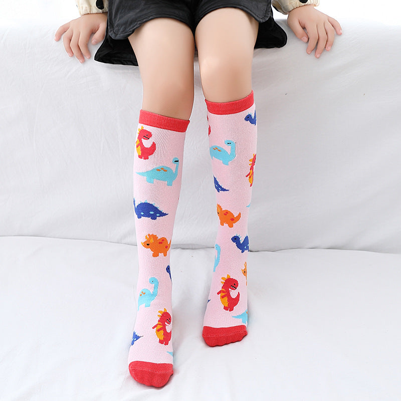 Dinosaur Socks