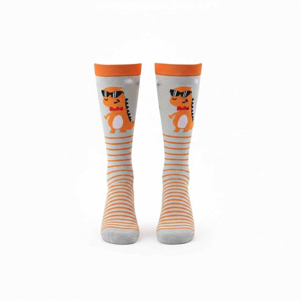 Dinosaur Socks