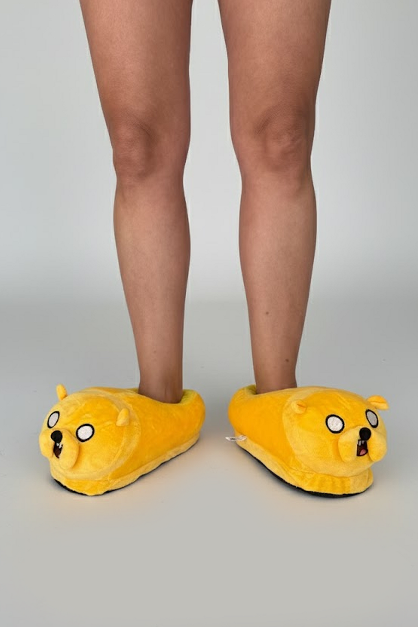 Jake Slippers