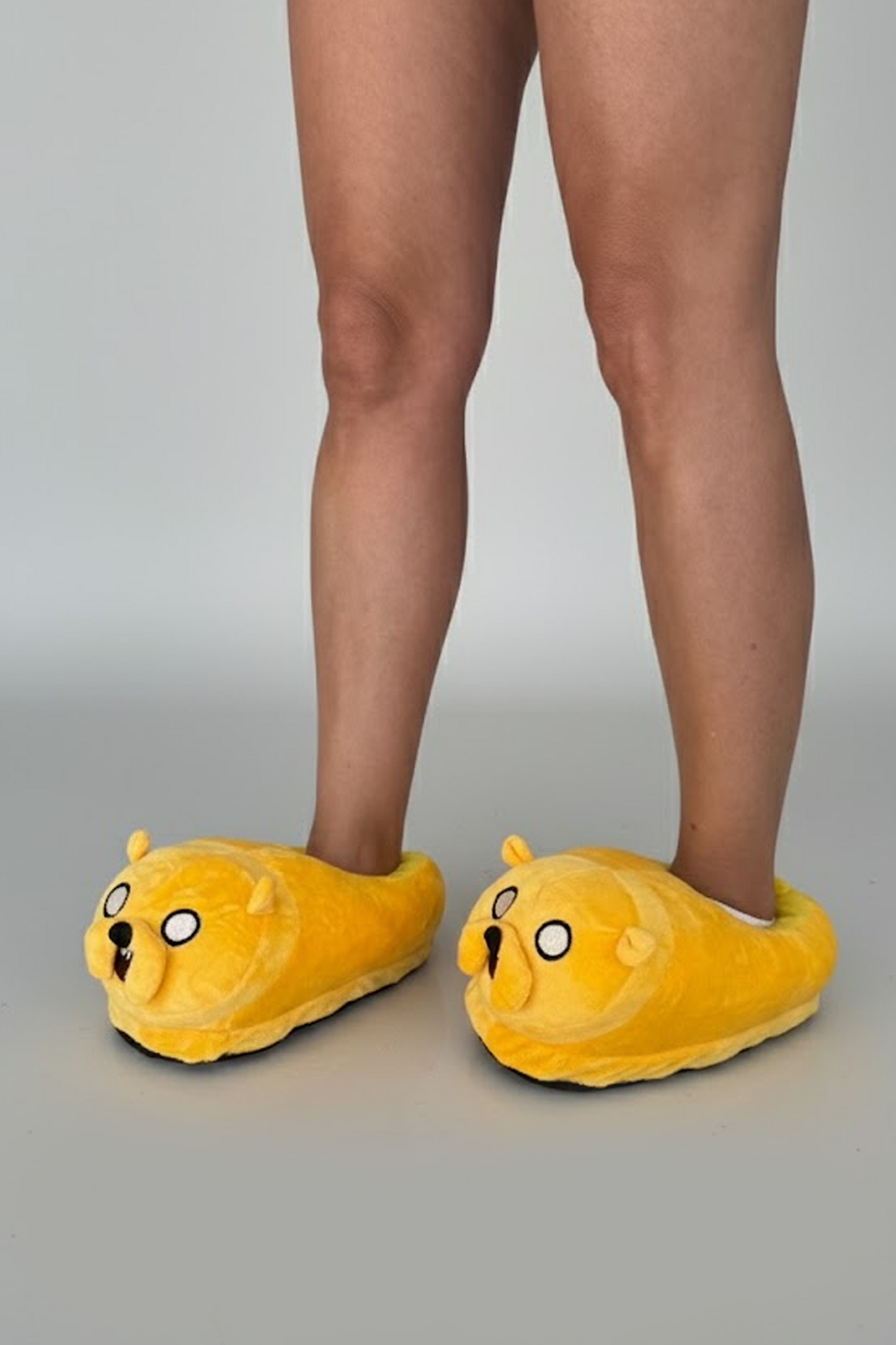 Jake Slippers