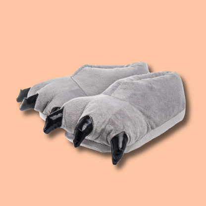 Dinosaur Slippers