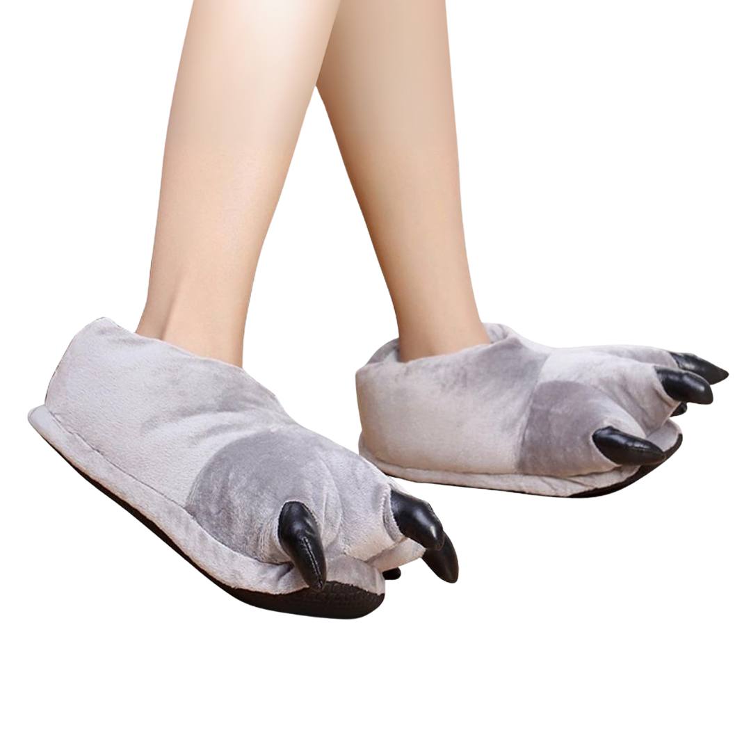 Dinosaur Slippers