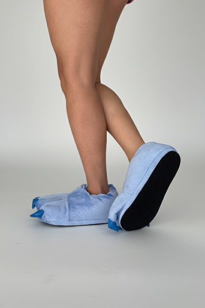 Dinosaur Slippers