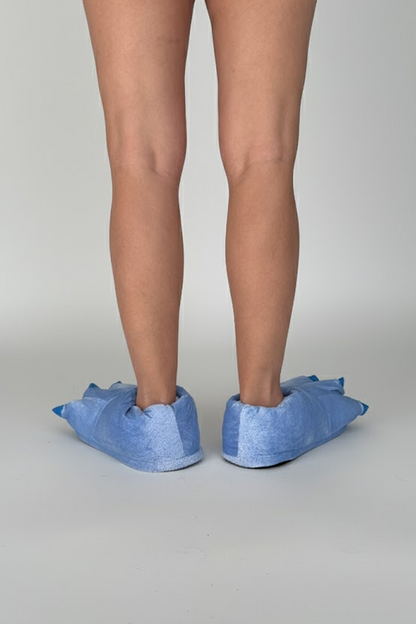 Dinosaur Slippers