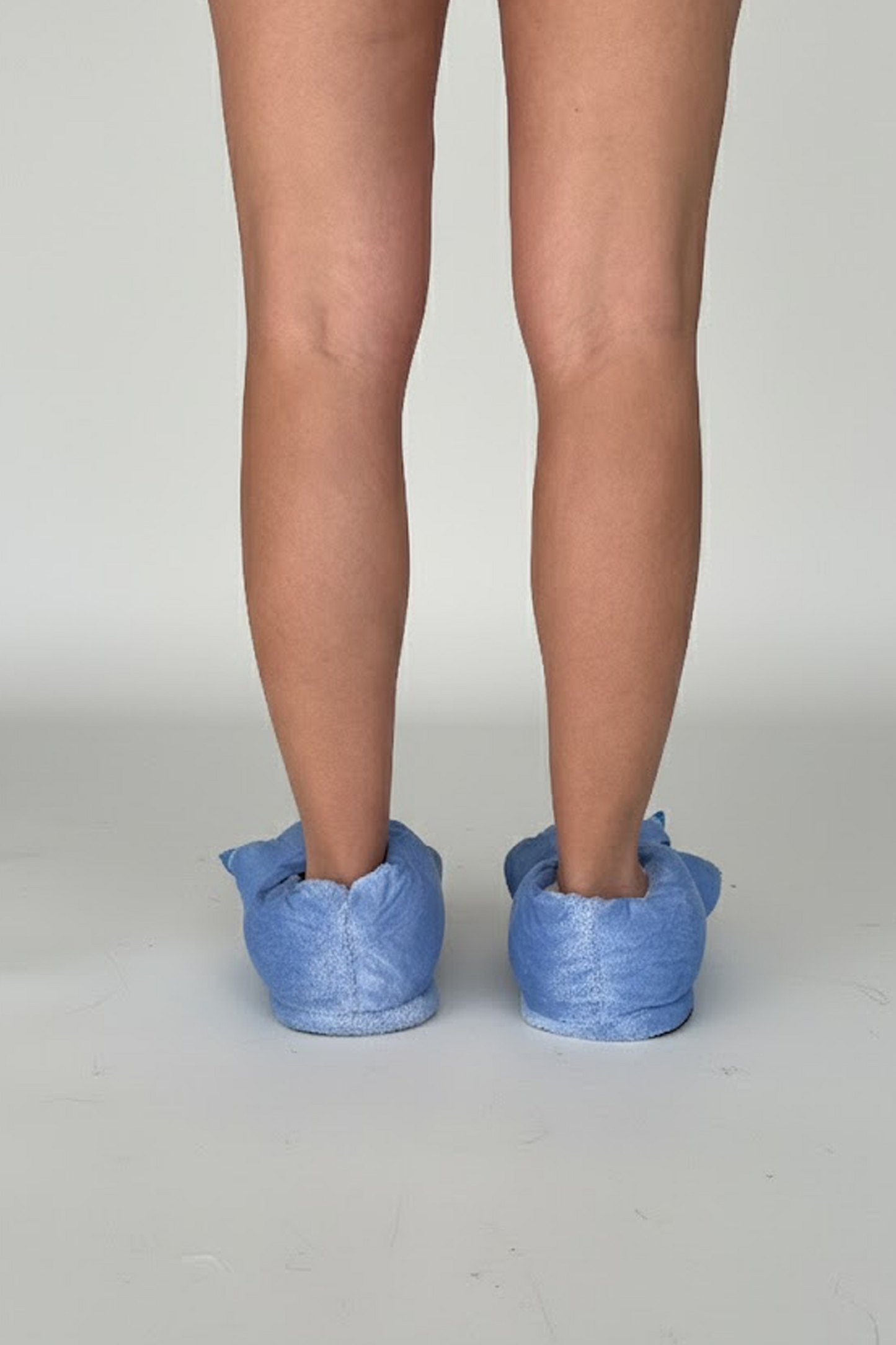 Dinosaur Slippers