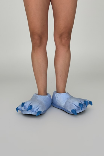 Dinosaur Slippers