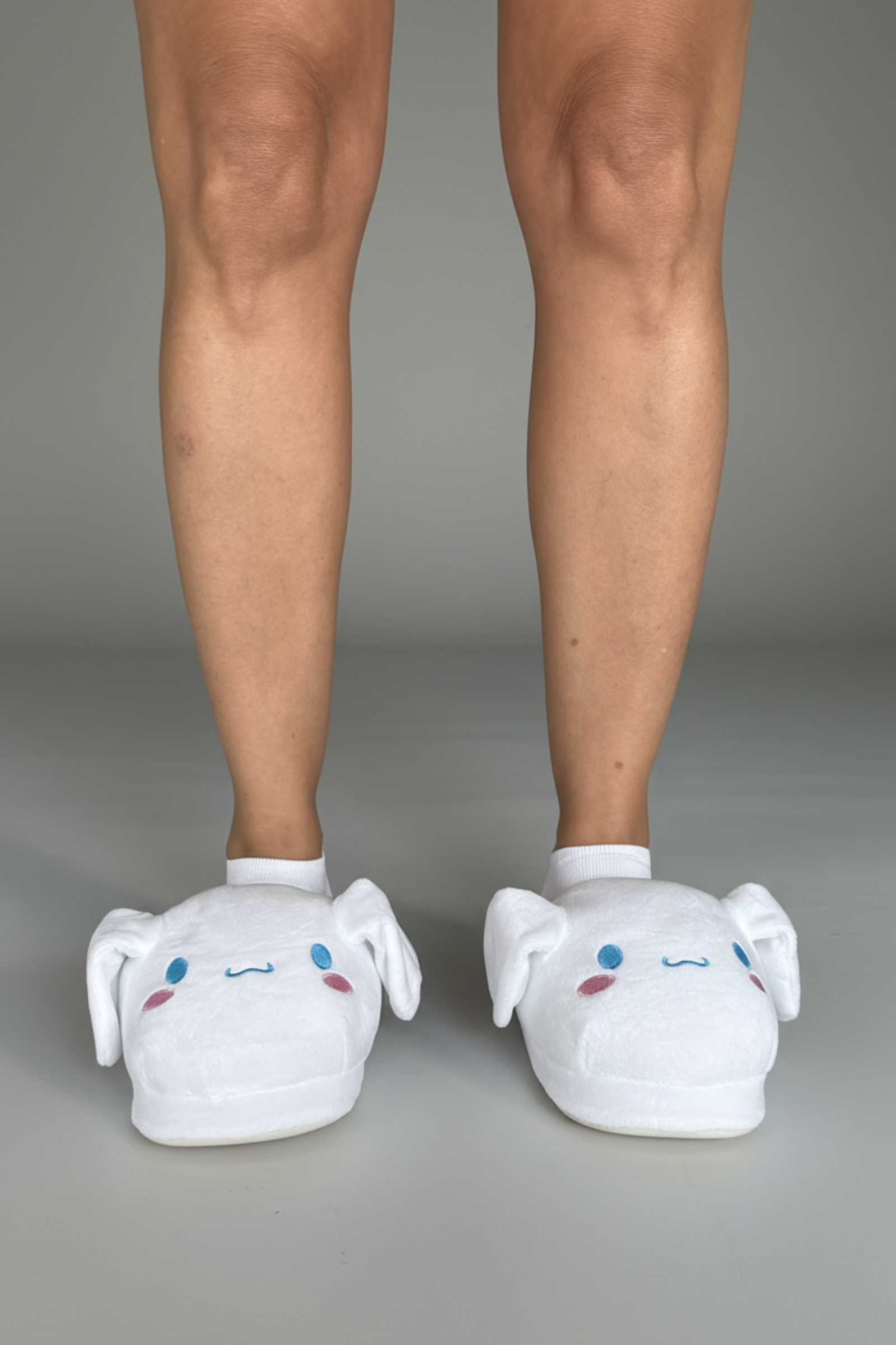 Cinnamoroll slippers