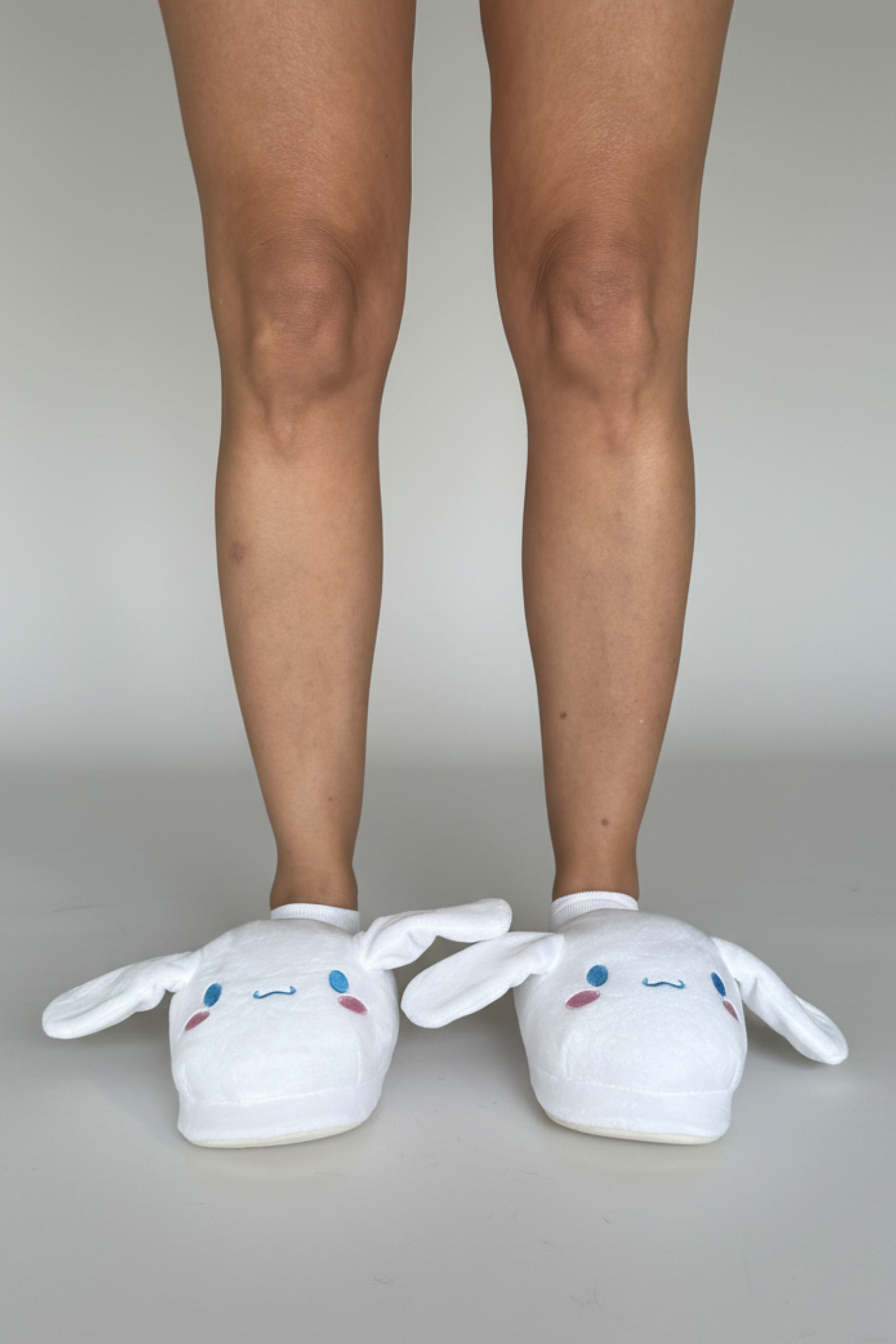 Cinnamoroll slippers