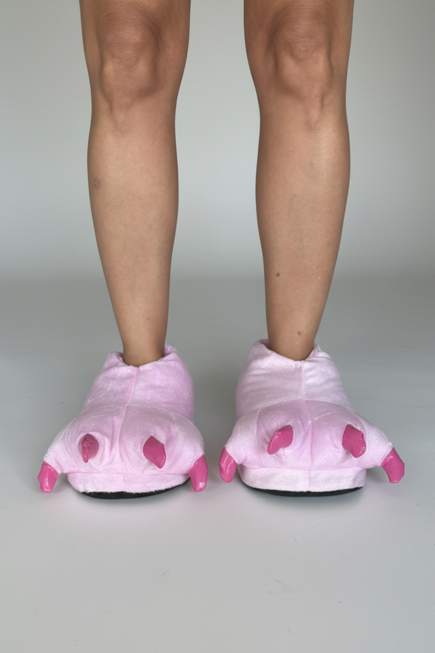 Dinosaur Slippers