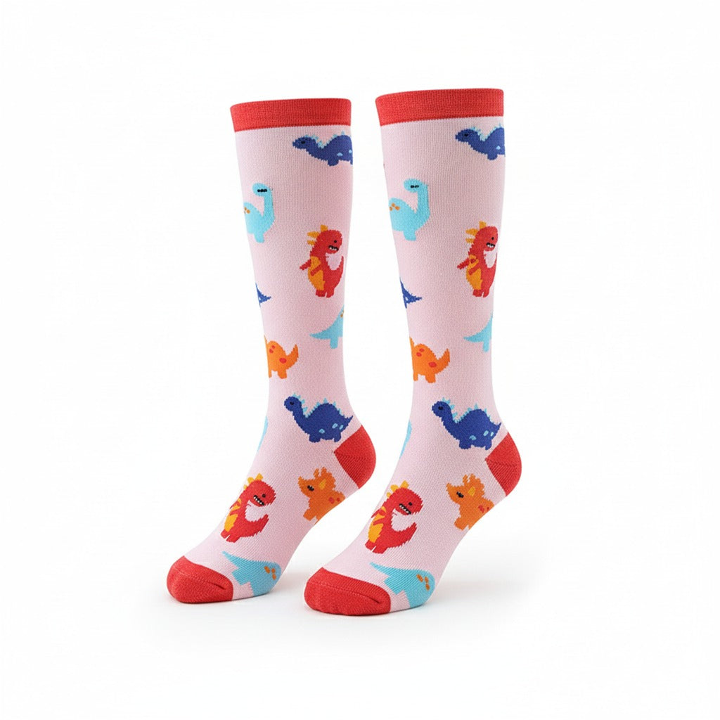 Dinosaur Socks