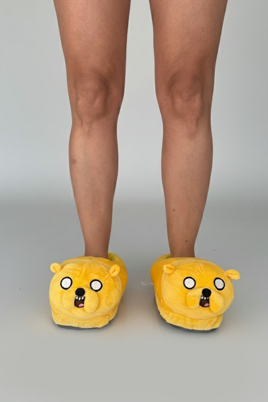 Jake Slippers