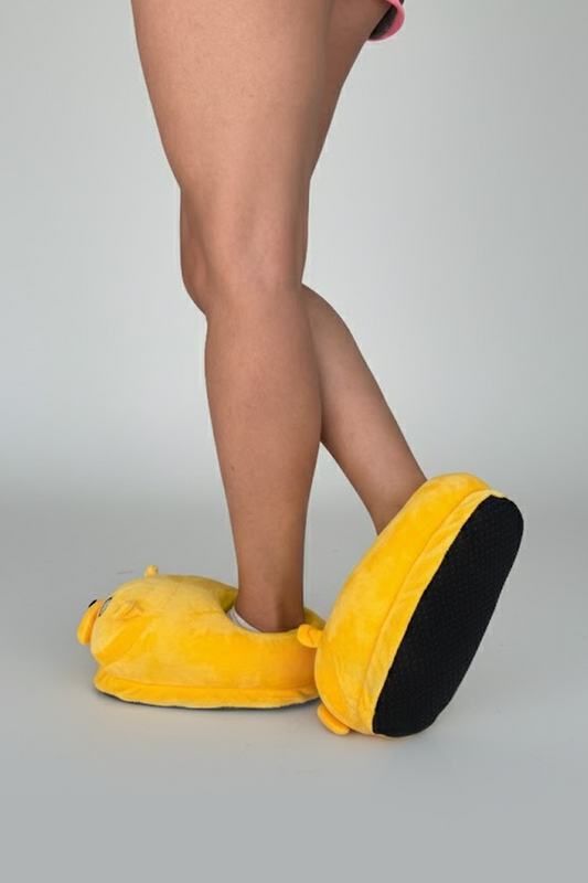 Jake Slippers